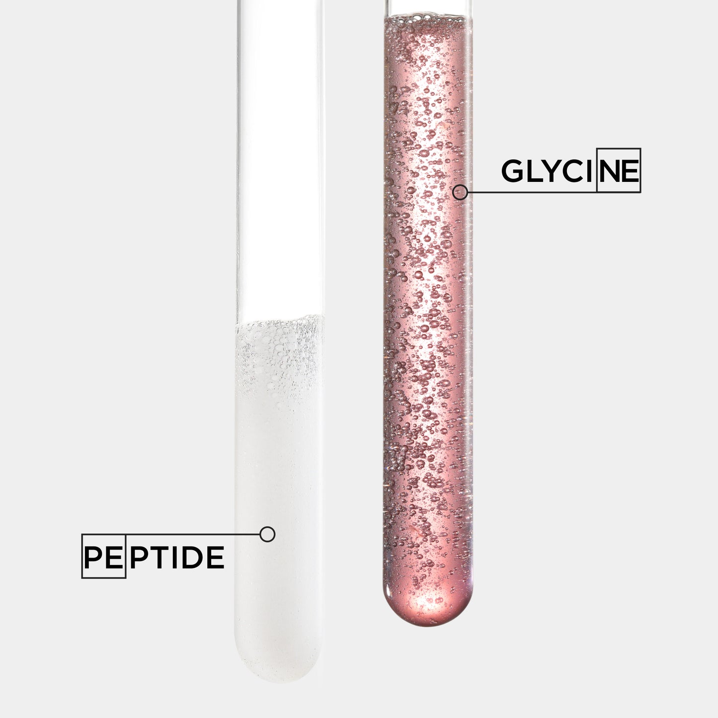 PREMIERE | Première Serum Filler Fondamental